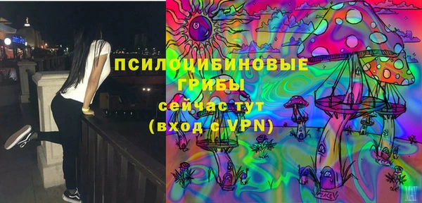 прущая мука Каменка