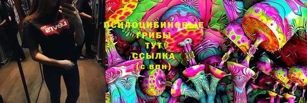 бошки Каменногорск