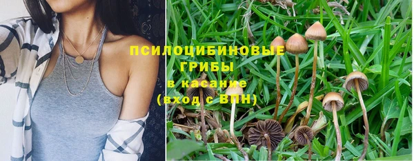 бошки Каменногорск