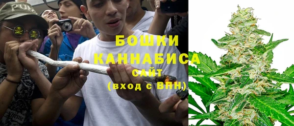 прущая мука Каменка