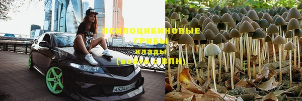 прущая мука Каменка