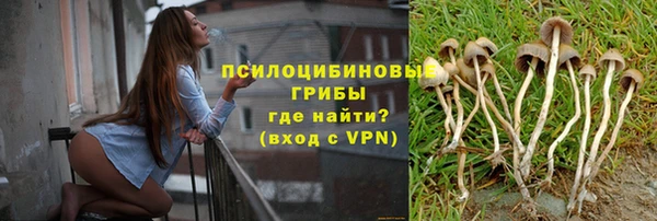 бошки Каменногорск