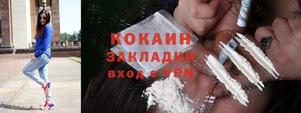 прущая мука Каменка