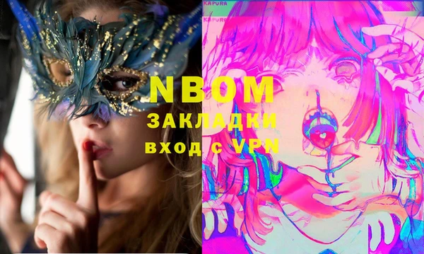 бошки Каменногорск