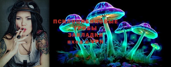дживик Каменск-Шахтинский